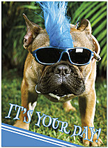 Rad Dog Birthday Card D8023U-Y